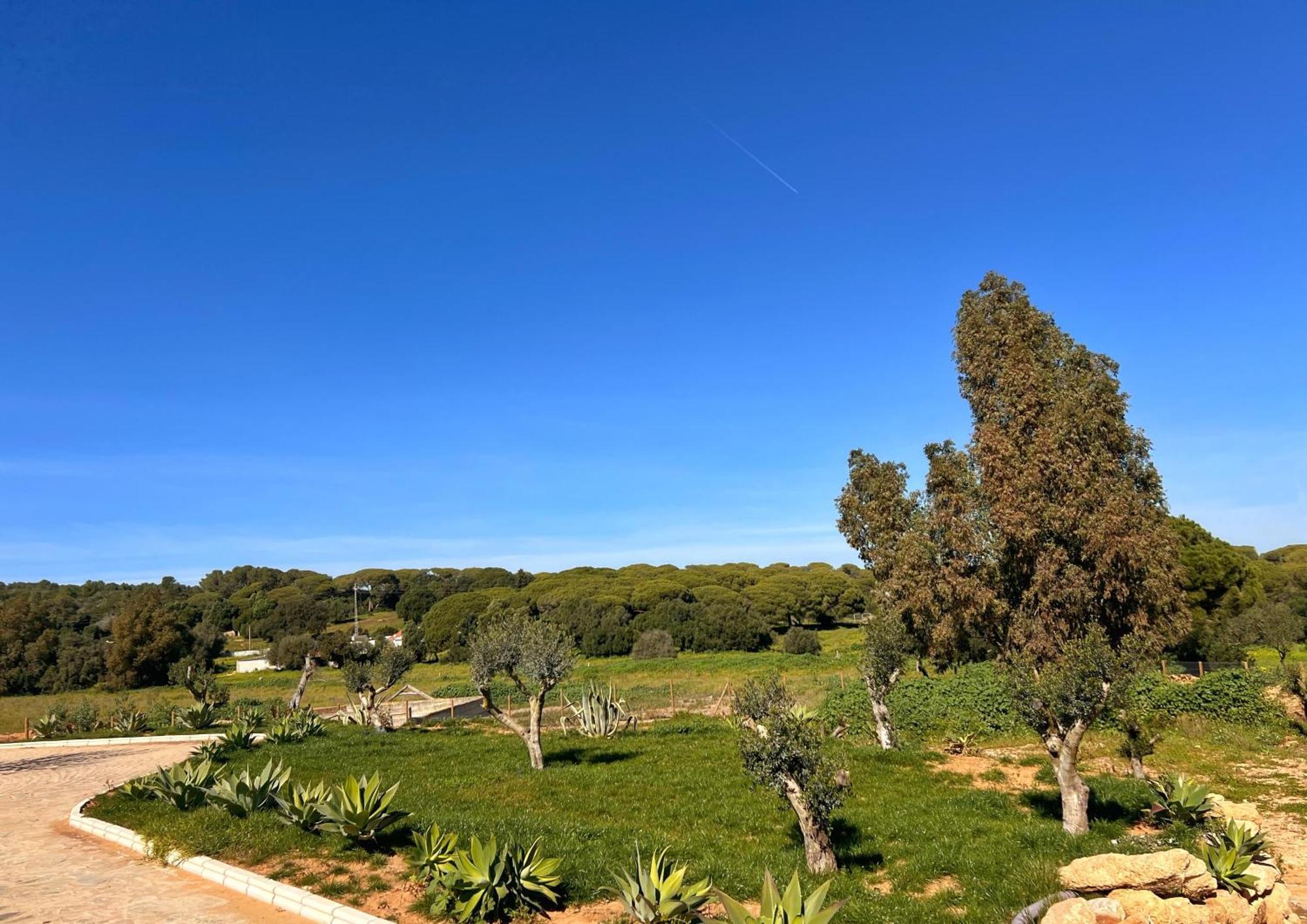 Hacienda La Yerbabuena Villa Cadiz